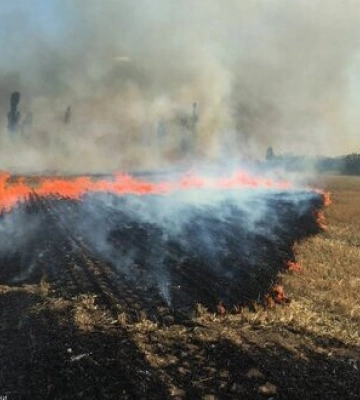 Протягом минулої доби внаслідок обстрілів російськими військами на Миколаївщині сталося п’ять пожеж, - ДСНС. ФОТОрепортаж