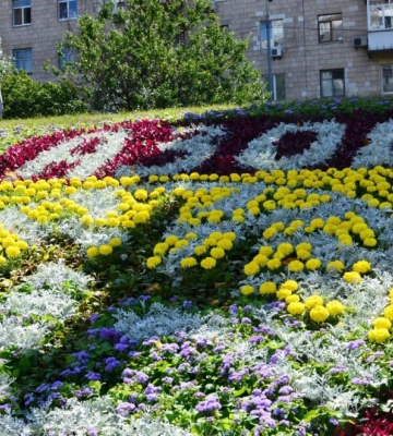 Подяка за мужність: у Києві героям полку &quot;Азов&quot; присвятили квіткове панно