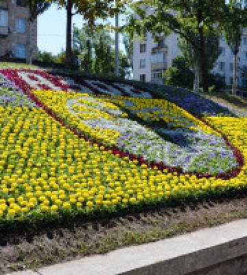 На столичному Печерську створили квіткове панно на честь полку “Азов” 