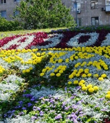 У Києві створили квіткове панно на честь &quot;Азову&quot;. ФОТО