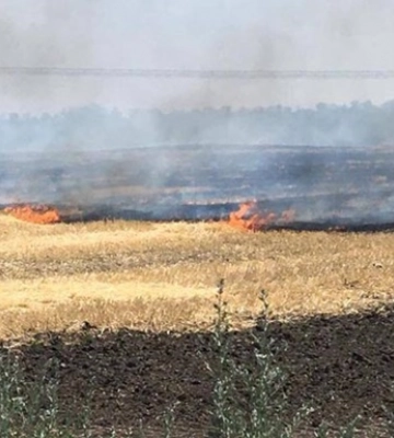 У Запоріжжі чули вибухи, горять поля – ОВА