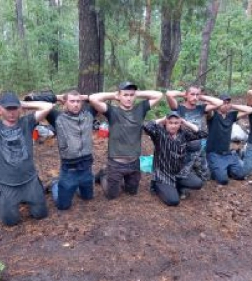 У лісі на Київщині затримали групу чоловіків: це може бути ворожа ДРГ