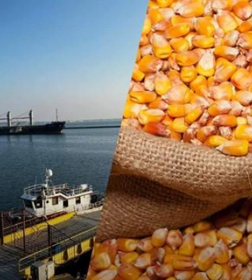 Из портов Одесской области отправился первый караван судов с украинским зерном
