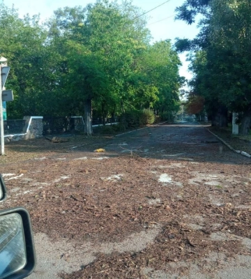 У чатах окупованих Олешок люди благають про допомогу і рятуються на дахах будинків