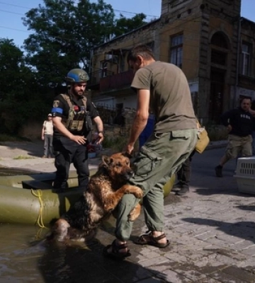 Луцький зоопарк допоможе постраждалим тваринам з затопленої Херсонщини
