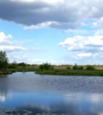 На Волині збиратимуть кров для ЗСУ