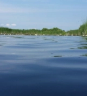 На Турському водосховищі спіймали двох браконьєрів