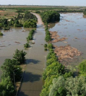 Тварини приречені. Через підрив Каховської ГЕС затоплено близько 55 тис. гектарів лісів Херсонщини