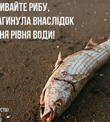Рибу, що гине через знищення росіянами Каховської ГЕС, не можна споживати