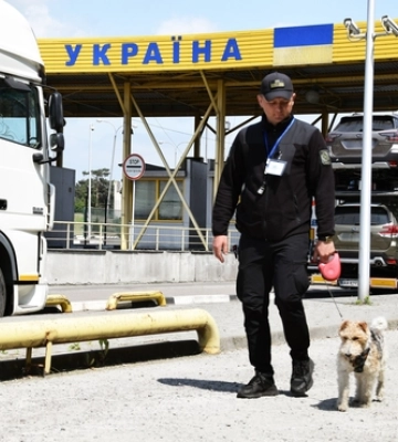 Шукає зброю та вибухівку: з волинськими прикордонниками служить фокстер'єр Фоксі 