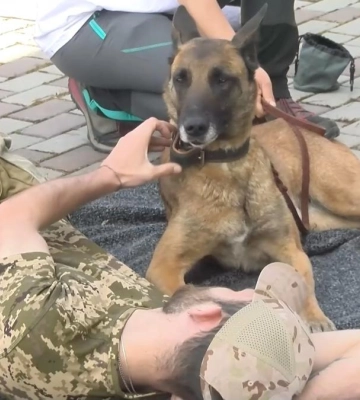 Каністерапія: на Рівненщині врятована вівчарка з Бахмута допомагає у реабілітації пораненим бійцям (ВІДЕО)