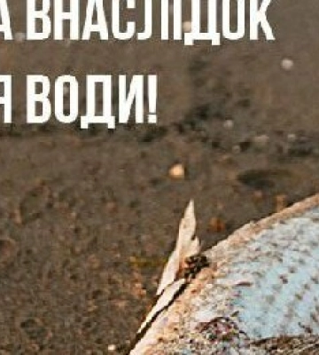 На Дніпропетровщині мор риби: де її не можна купувати та які симптоми ботулізму