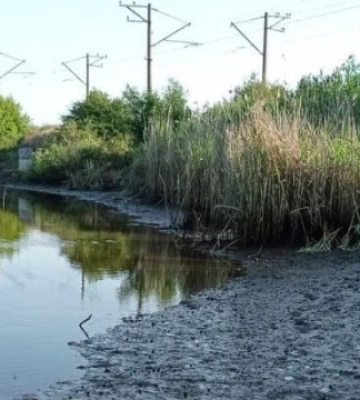 У нацпарку «Великий Луг» можуть обміліти водно-болотні угіддя