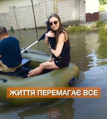&quot;Собака не встає від переохолодження на задні лапи&quot;: як харківські волонтери рятують тварин у Херсоні