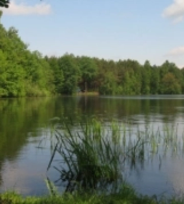 Ситуація на кордоні Волині з Білоруссю станом на ранок 8 червня