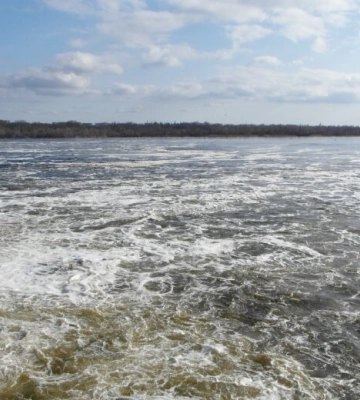 Скільки ще Запорізька АЕС зможе протриматися без води?