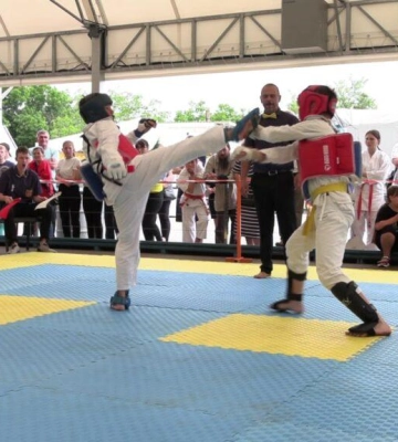 У Вилківській громаді вперше пройшов Відкритий чемпіонат з кіокушинкай карате (відео)