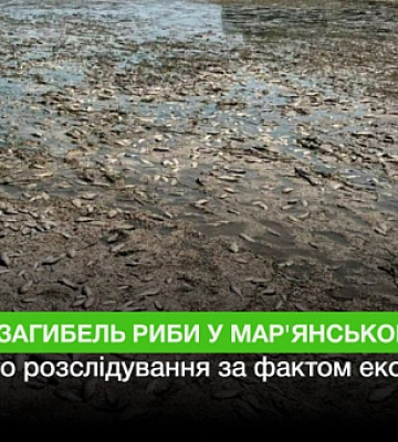Підрив ГЕС: на Дніпропетровщині масово гине риба