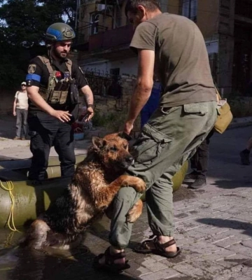Відкривають у Рівному міський штаб для збору допомоги на Херсонщину