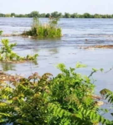 Велика вода зачепила землі Смарагдової мережі на Херсонщині