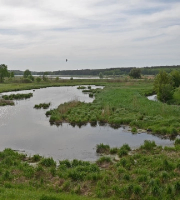 На Кіровоградщині посилили епідемічний нагляд за водоймами задля недопущення спалаху холери