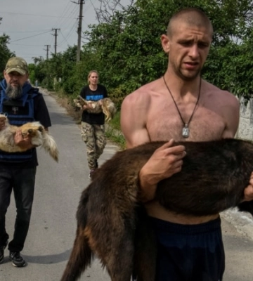 Затоплені та виснажені: волонтери рятують домашніх тварин після руйнування Каховської ГЕС