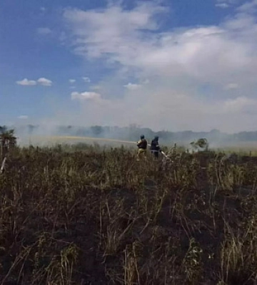 Вогнеборці Дніпропетровщини загасили 12 пожеж в екосистемах