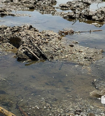 У Південне водосховище, звідки бере воду Кривий Ріг, перестала надходити вода