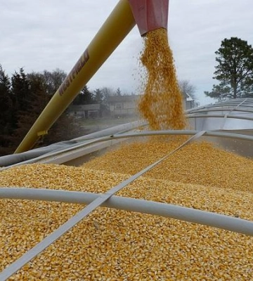 На Волині будуються два «сухих порти» для експорту агропродукції