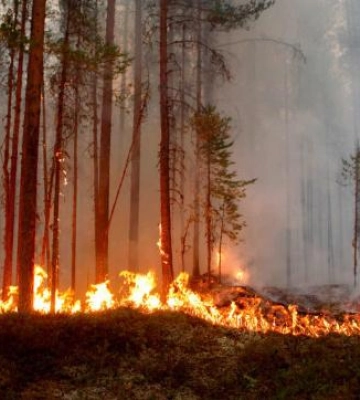 9-10 червня на Полтавщині оголосили надзвичайний рівень пожежної небезпеки