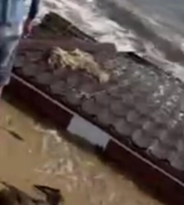 К берегу прибило дом и не только: появилось видео, как выглядит море у Одессы после подрыва Каховской ГЭС