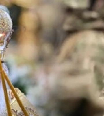В Угорщині підтвердили, що рф передала їй 11 українських військовополонених – Україна нічого про це не знає