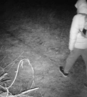 Киянин намагався пробратися до Угорщини та поцупив фотопастку на кордоні