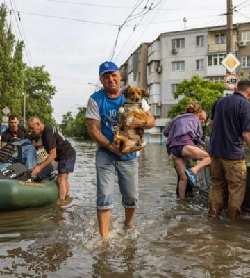 Як допомогти тваринам з Херсонщини: перелік притулків