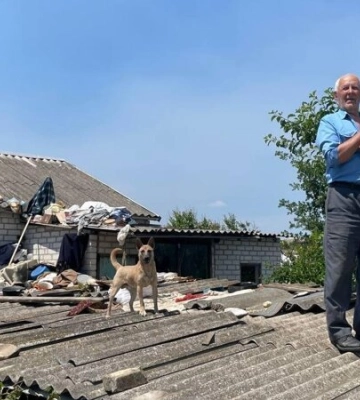 Потрібні волонтери. Як допомогти тваринам з Херсонщини — інструкція від Save Pets of Ukraine
