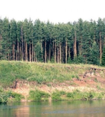 Загадкова природа з озерами, старицями, сфагновими болотами. На Дніпропетровщині розлігся старовинний Самарський ліс
