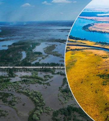 Нижньодніпровський природний парк повністю знищено після підриву Каховської ГЕС