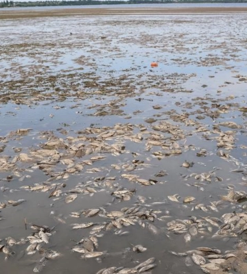 У пошуках питної води для півдня України