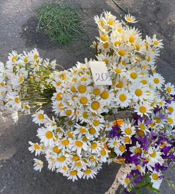 У Полтаві на &quot;Хитрому&quot; ринку полуницю можна купити вже від 40 гривень за кіло