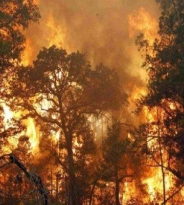 Пожежна небезпека, до +30°. Якою буде погода на Дніпропетровщині цими вихідними