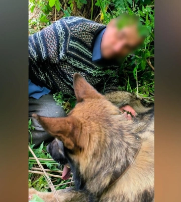 На Полтавщині поліцейський собака розшукав зниклого пенсіонера