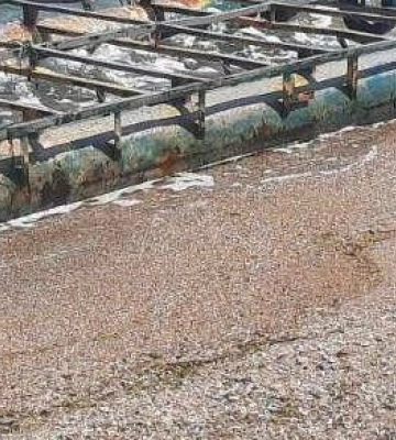 Наслідки підриву ГЕС: море перетворюється на сміттєзвалище і кладовище (фото, відео)