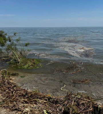 Біля Одеси зафіксовано фіксують опріснення морської води
