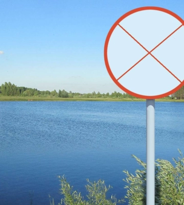 Голова Херсонської ОВА доручив заборонити купання, вилов і продаж риби на Херсонщині