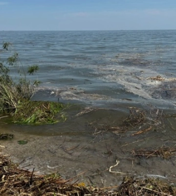 Через вибух на Каховській ГЕС почало опріснюватися Чорне море – Держекоінспекція
