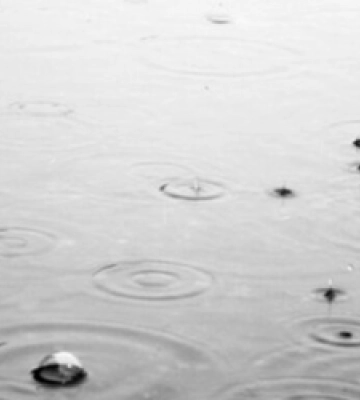 У Львові до кінця доби оголосили штормове попередження