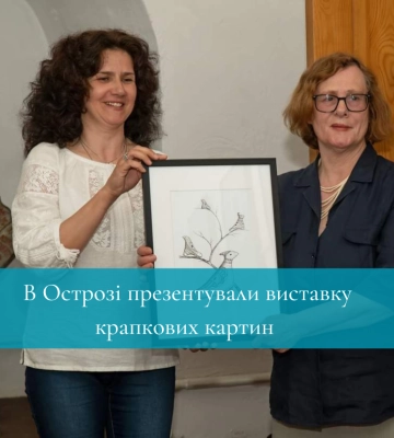 Рівненщина: В Острозі відкрилася виставка крапкових картин