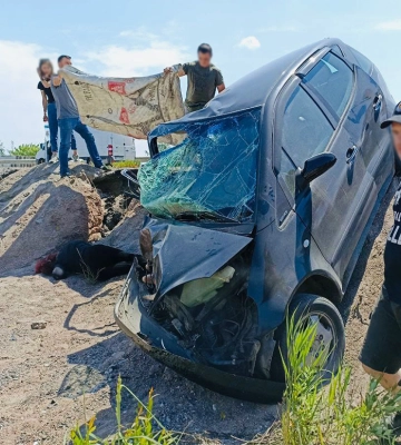 Внаслідок карколомної ДТП на Житомирщині постраждали троє дорослих та дитина (ФОТО)
