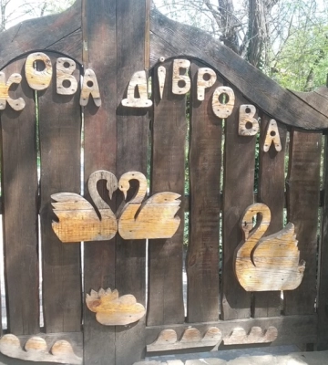 В Новой Каховке из-за подрыва водохранилища затопило зоопарк, все животные погибли - СМИ (ВИДЕО) В Новой Каховке из-за подрыва водохранилища затопило зоопарк, все животные погибли - СМИ (ВИДЕО)