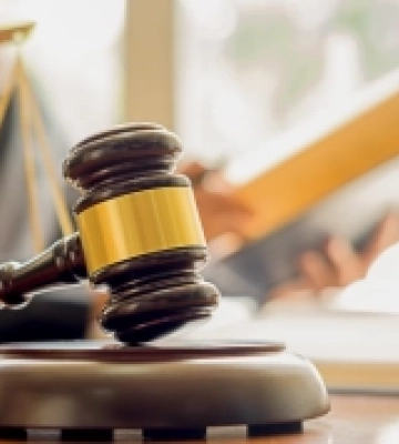 На Закарпатті судитимуть двох лісників через службову недбалість, збитки від якої склали понад 50 мільйонів гривень